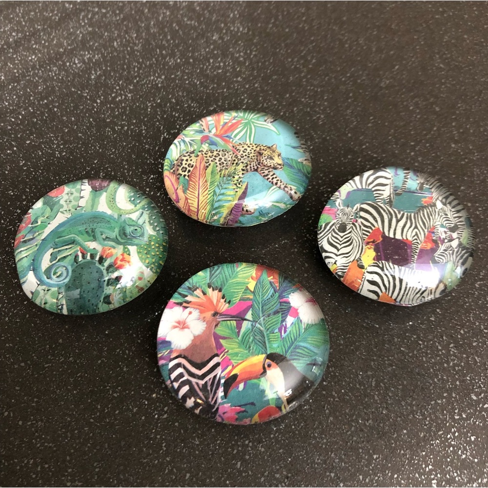 🦜🦓🐆🦎Fun tropical glass magnets